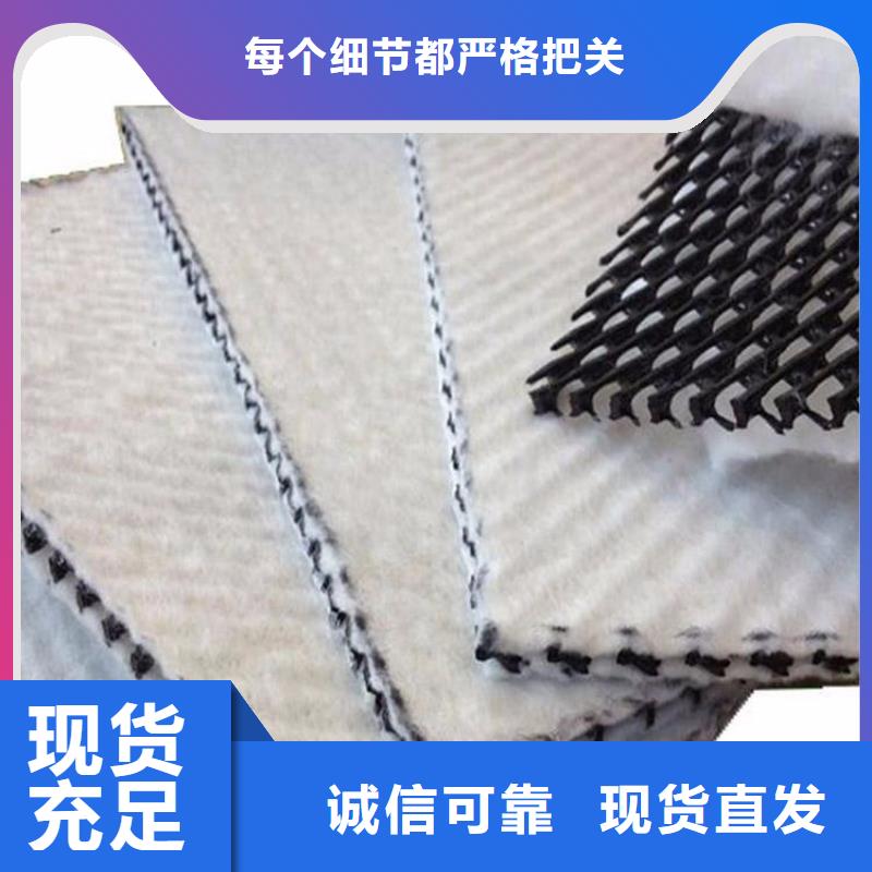 国标网芯复合排水网价格/2025年报价