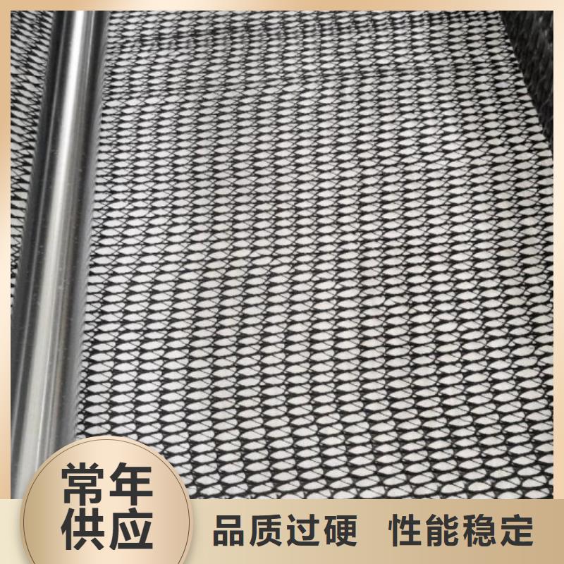 护坡防尘三维复合排水网规格可定制