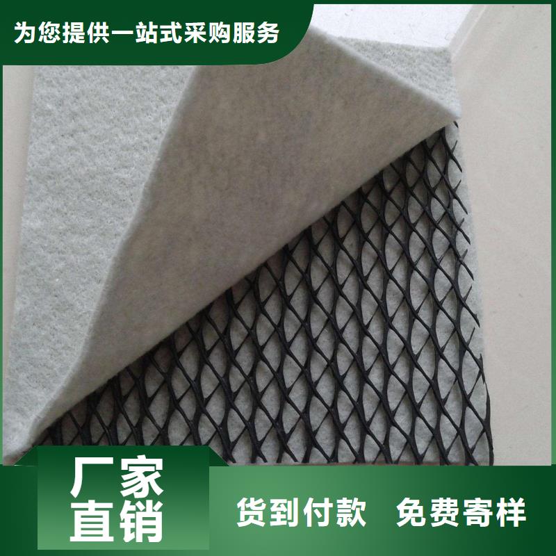 护坡防尘三维复合排水网厂家直供