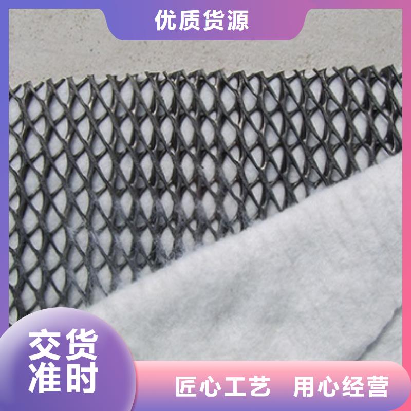护坡防尘三维复合排水网厂家直供