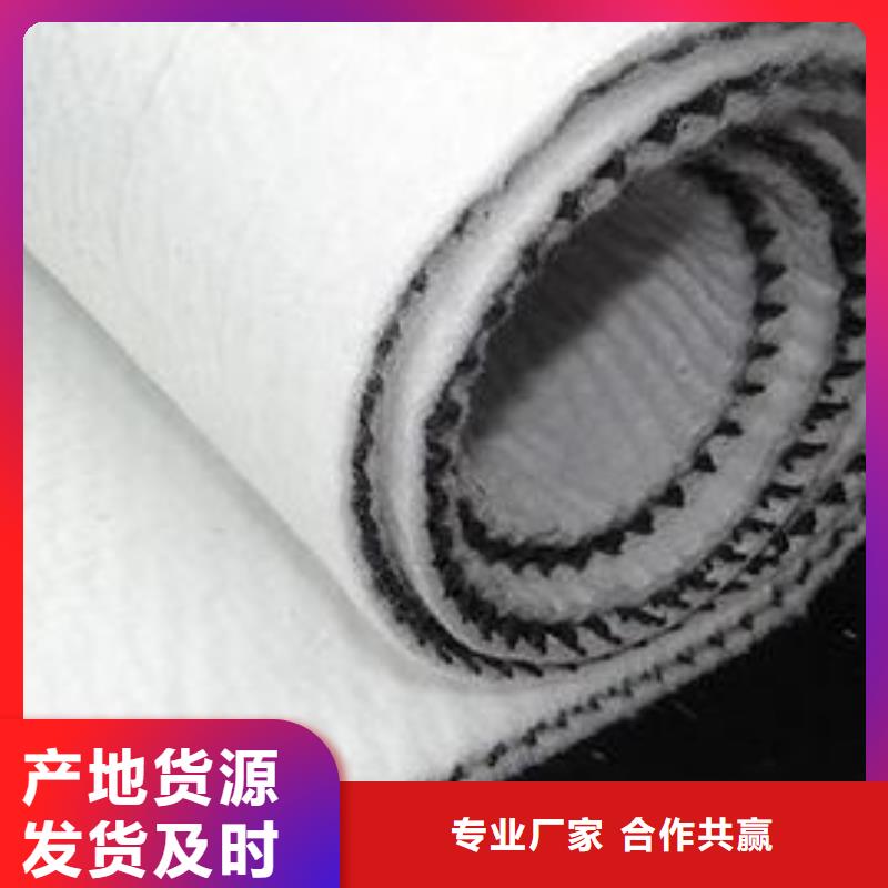 护坡防尘三维复合排水网厂家直供
