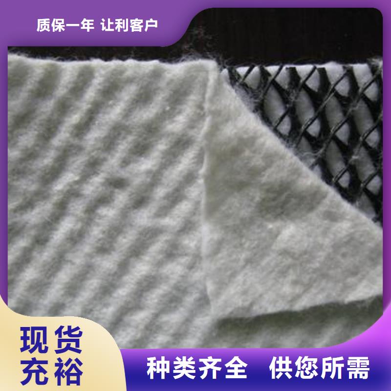 护坡防尘三维复合排水网厂家直供