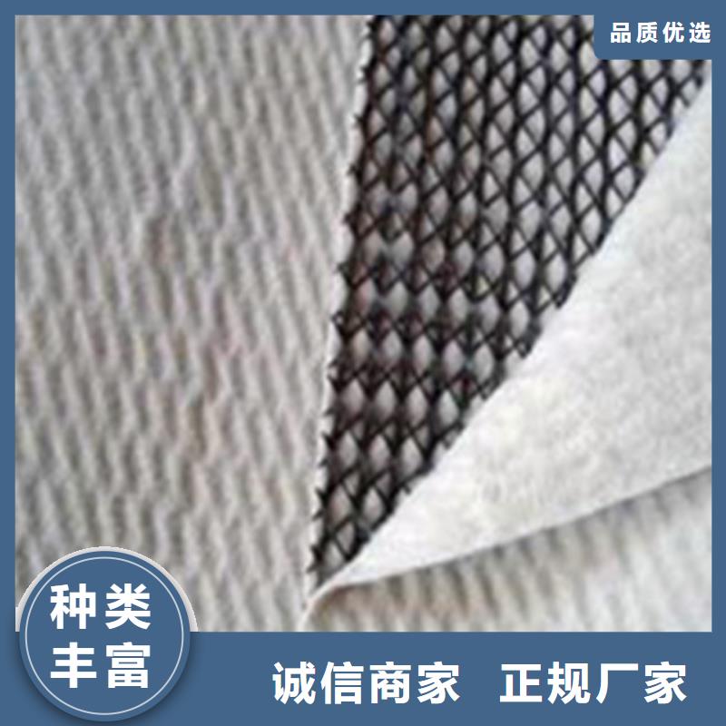 三维复合排水网-玻纤土工格栅支持定制
