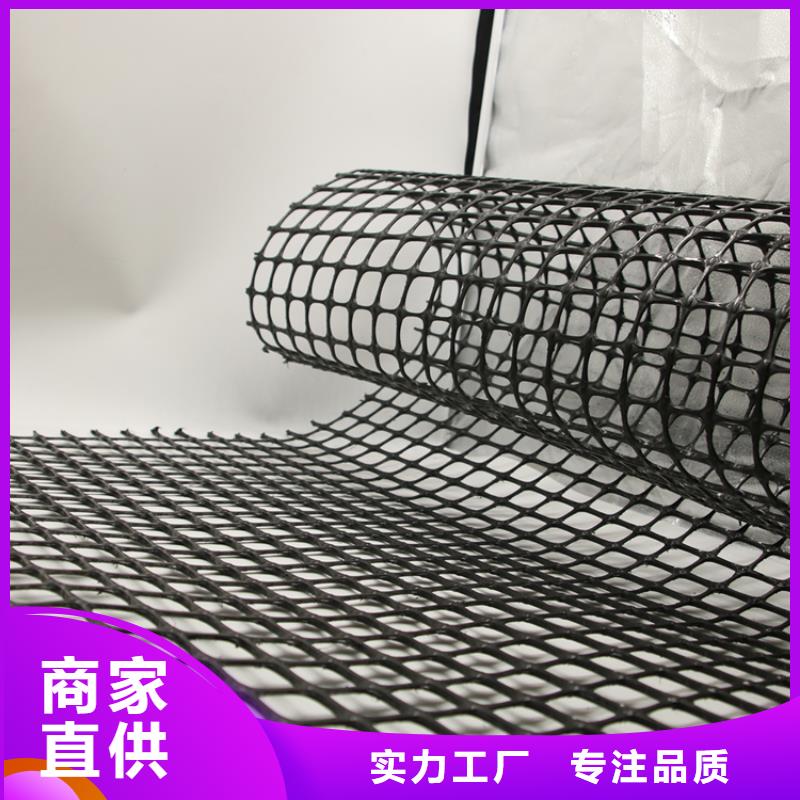 单项拉伸塑料土工格栅多少钱一平