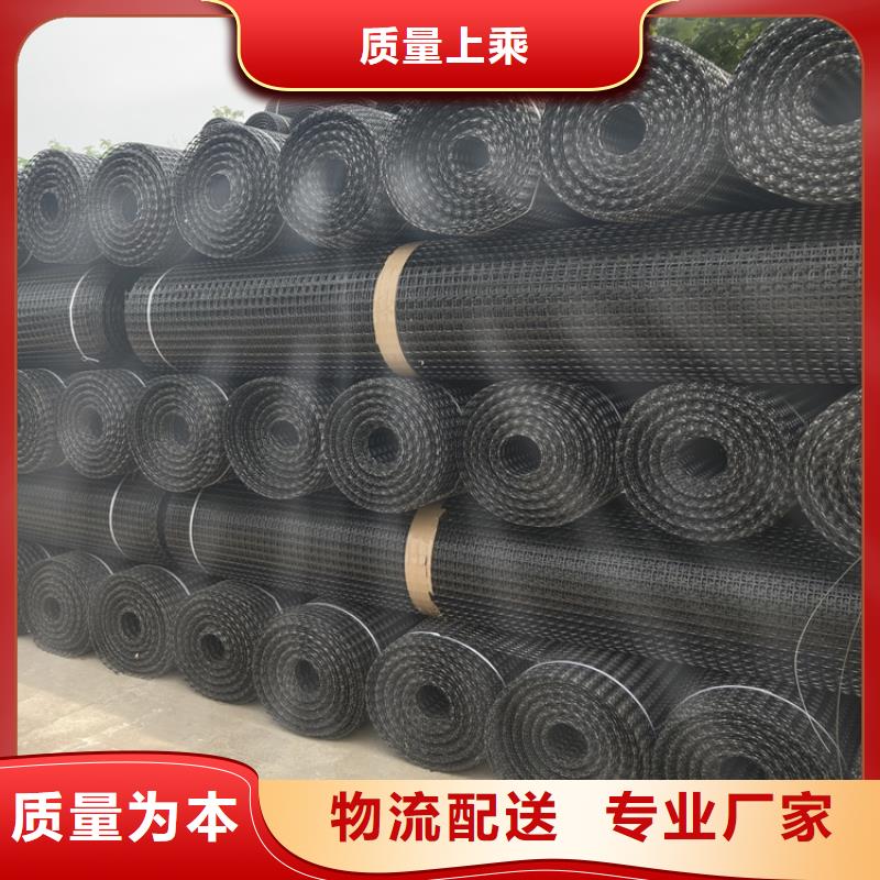 塑料土工格栅厂家