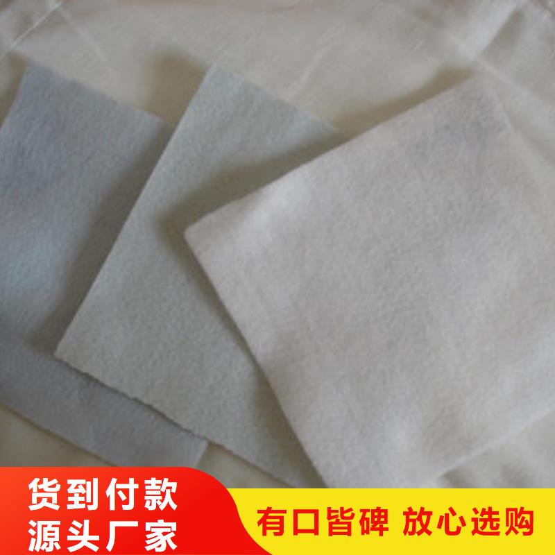 防渗土工布生产基地养护土工布价格