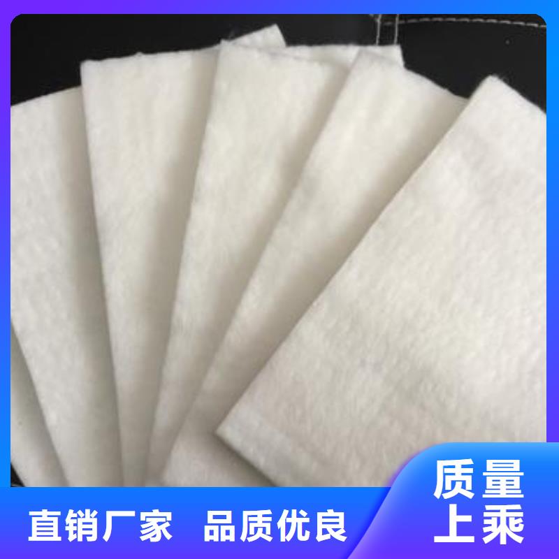 短丝土工布丙纶土工布聚酯布生产厂家欢迎致电