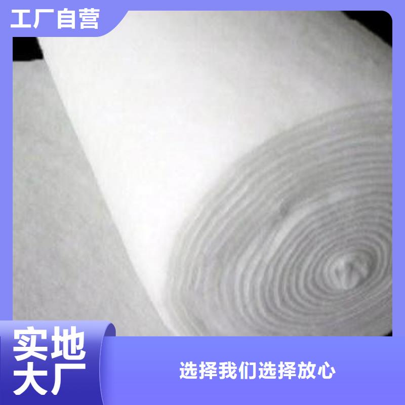 长丝土工布黑色土工布养护布生产厂家欢迎致电