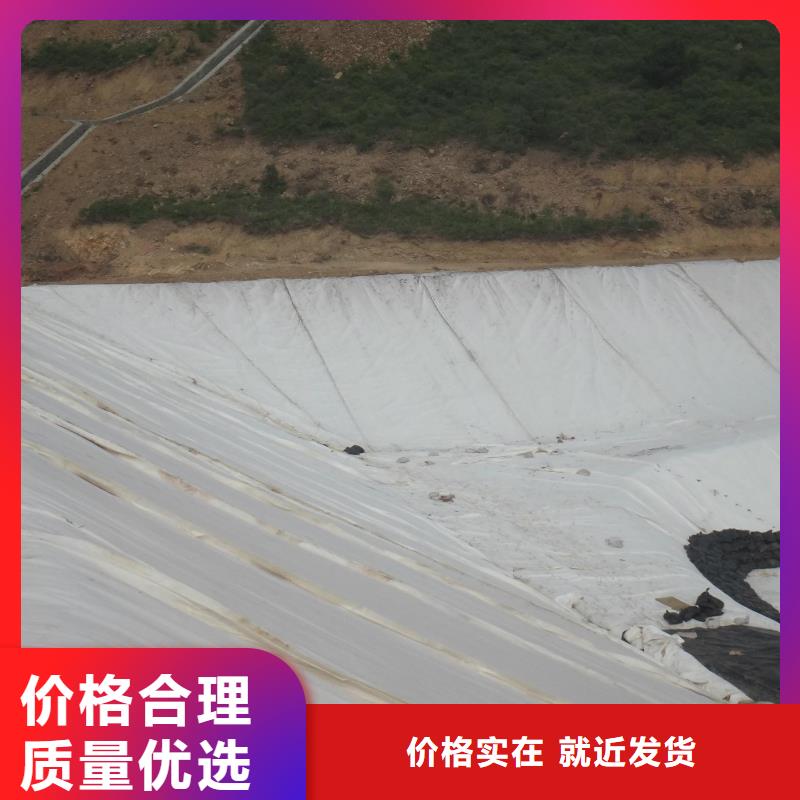 丙纶土工布生产厂家可有现货