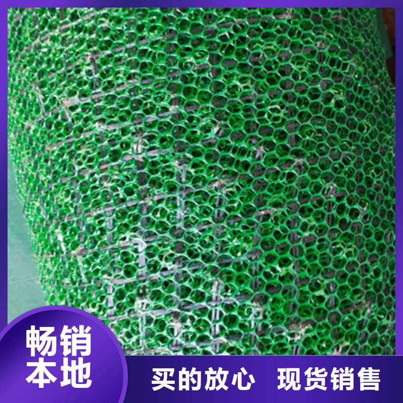 三维土工网垫价格,EM2三维植被网,