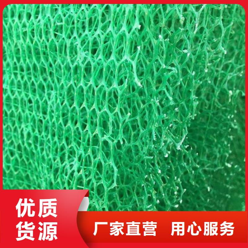 三维植被网厂家-为什么要选亿路通新材料？三维植被网厂家
