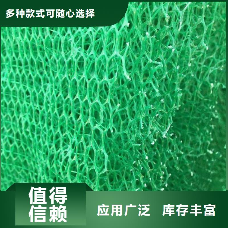 三维植被网厂家三维植被网垫价格生产基地