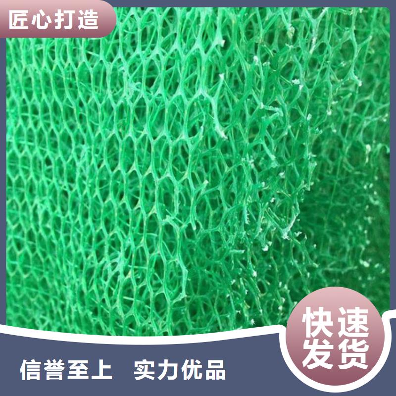 EM3三维植被网价格,三维植草网,