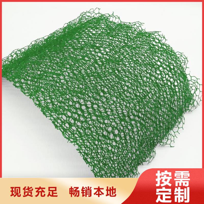 护坡三维网厂家三维网垫价格厂家直销