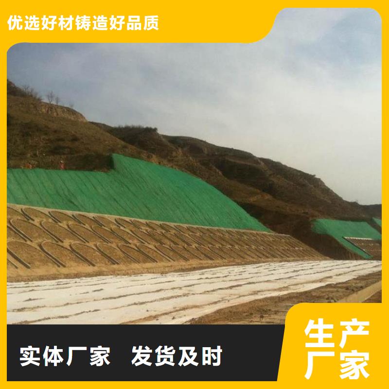 EM3三维植被网价格绿化植草网价格厂家直销