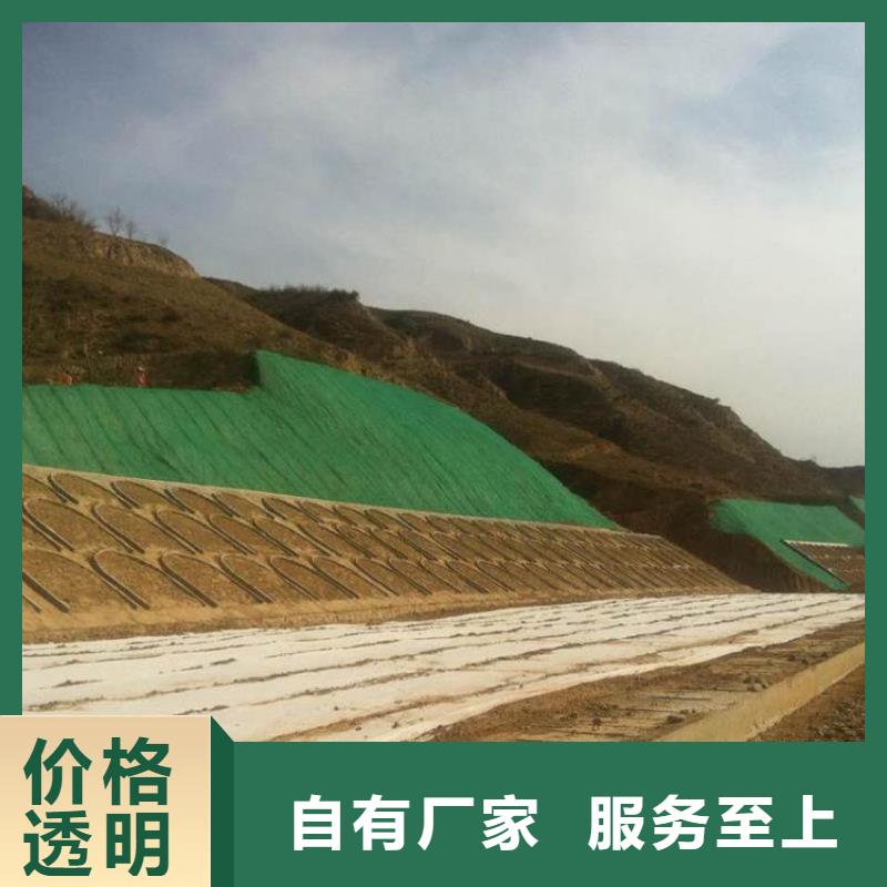 三维植被网,土工格室经销商