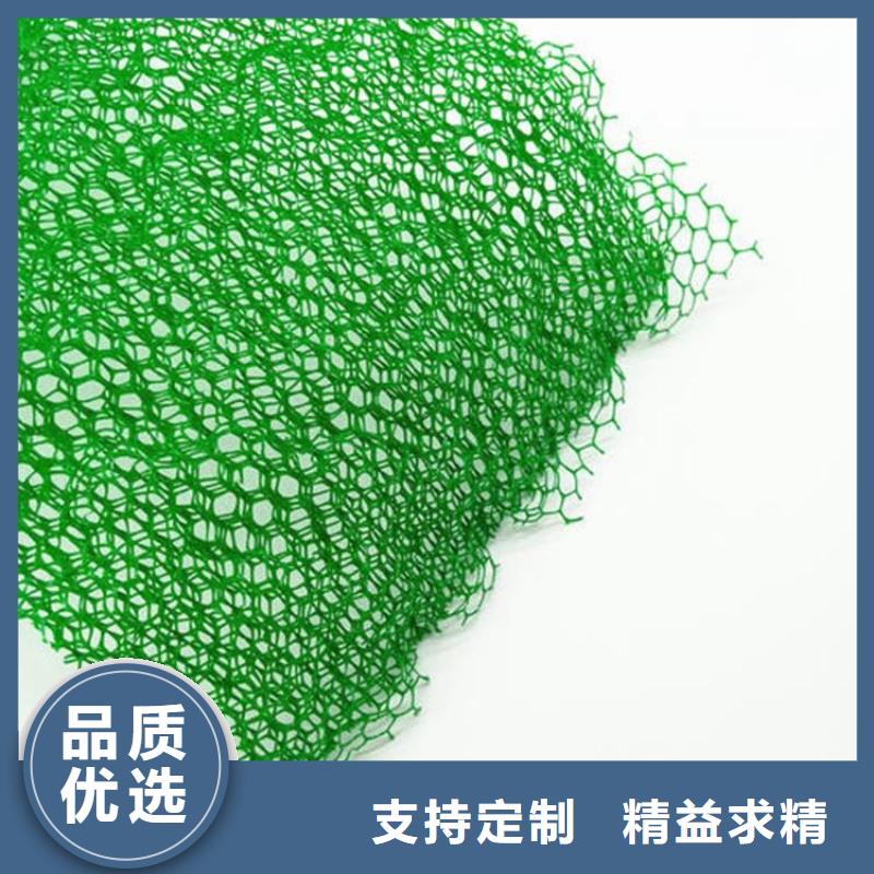 三维植被网厂家绿化植草网价格生产厂家