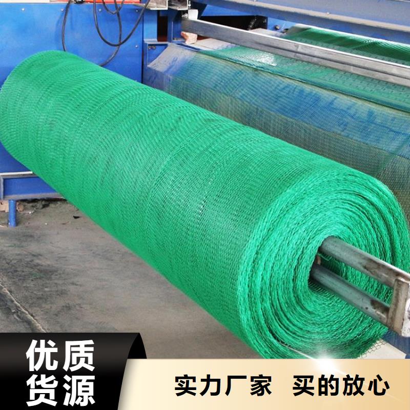 三维植被网钢塑土工格栅出货及时