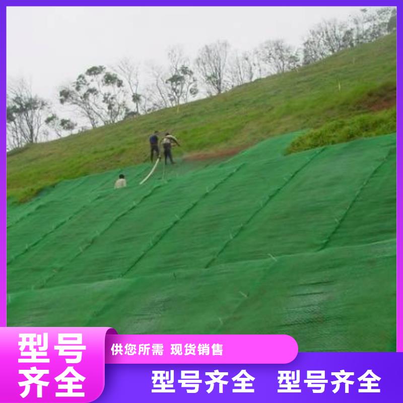 三维植草网