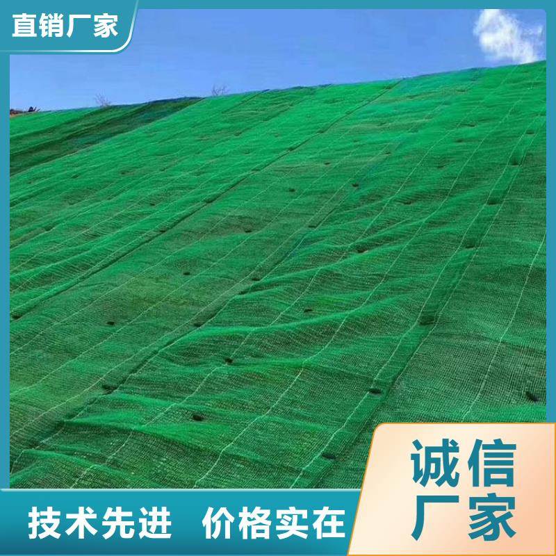 保亭县EM3三维植被网价格-为什么要选亿路通新材料？EM3三维植被网价格