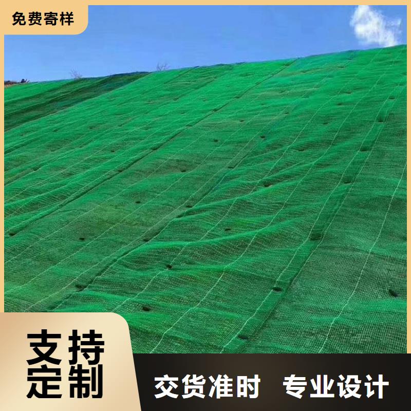 三维土工网垫价格,三维植草网,