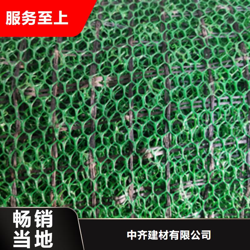 EM3三维植被网价格三维植被网垫价格生产基地