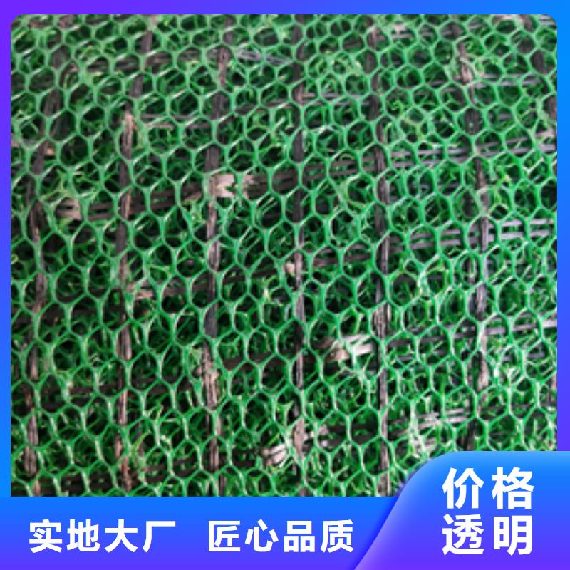 三维植被网钢塑土工格栅出货及时