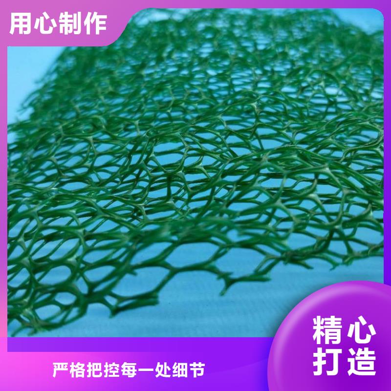 EM3三维植被网价格三维植被网垫价格生产基地