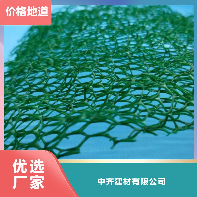三维植被网土工席垫真正让利给买家