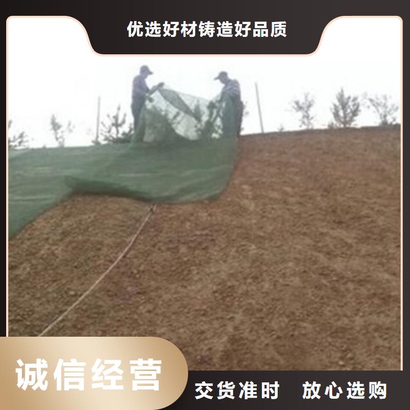 三维土工网垫价格,EM2三维植被网,