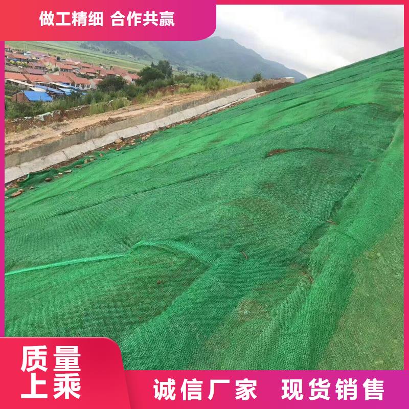 EM2三维植被网价格-为什么要选亿路通新材料？EM2三维植被网价格