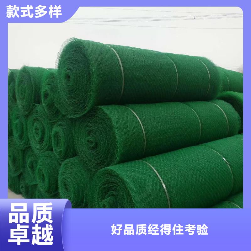 三维土工网垫价格,护坡土工网,