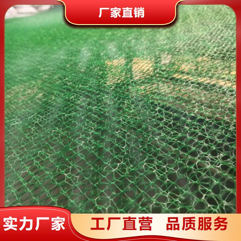 三维土工网垫