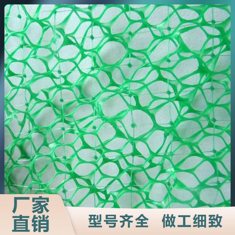 植草网价格,护坡土工网,