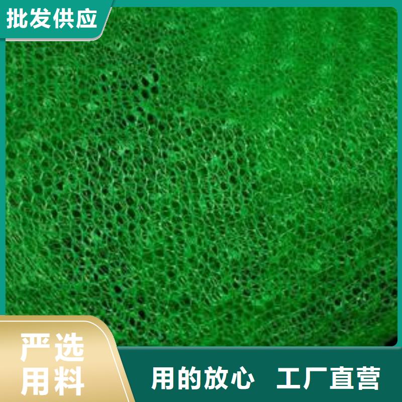 EM3三维植被网价格绿化植草网价格厂家直销