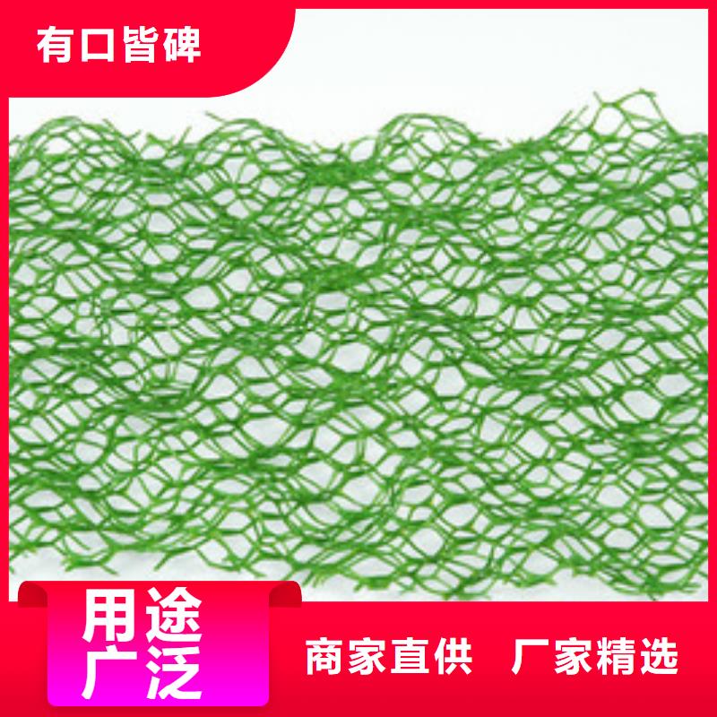【三维植被网-单向塑料土工格栅价格地道】