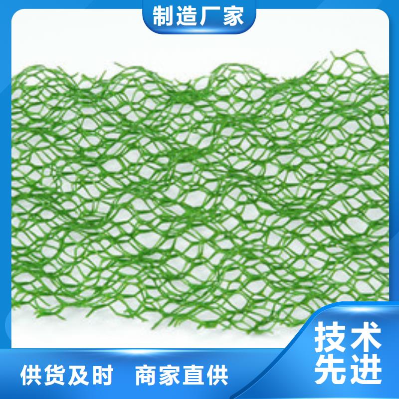 三维植被网长丝土工布价格实在