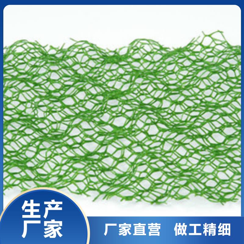 保亭县EM3三维植被网价格-为什么要选亿路通新材料？EM3三维植被网价格
