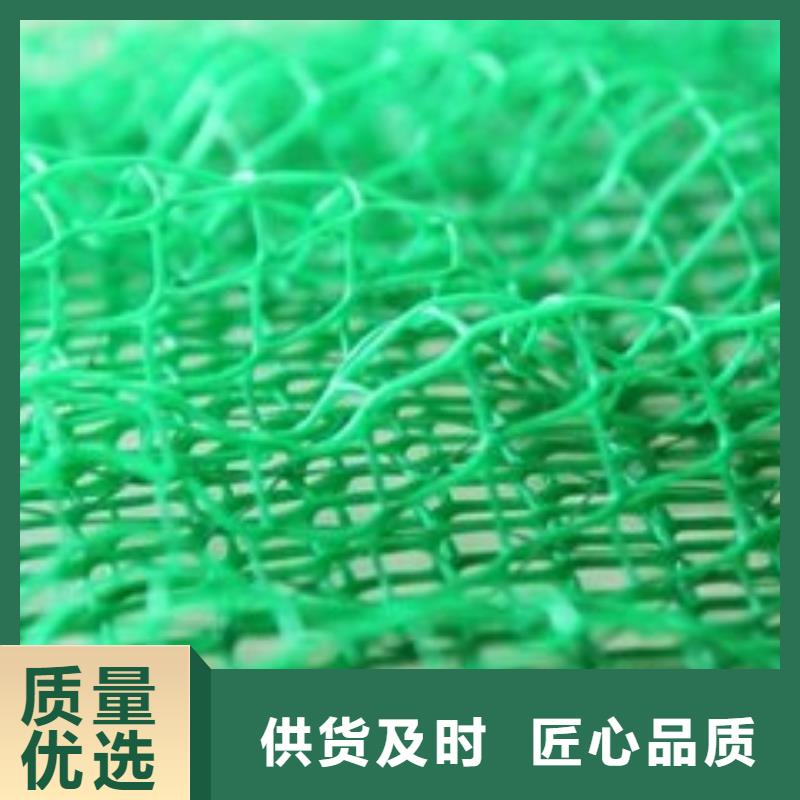三维植被网-复合土工膜严谨工艺