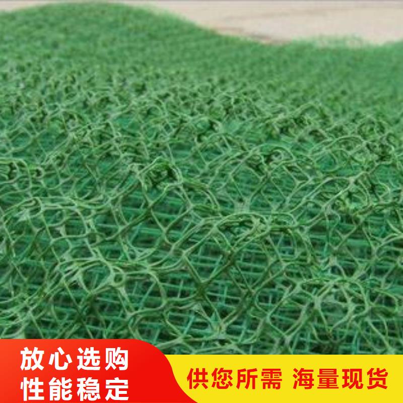 三维植被网-复合土工膜严谨工艺