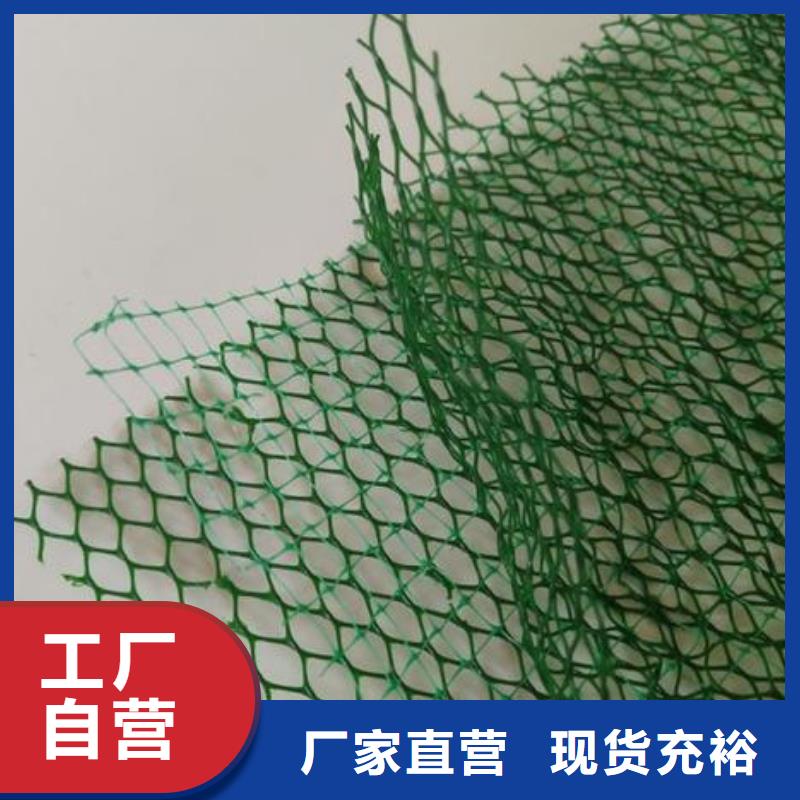 三维植被网,双向塑料土工格栅专业完善售后
