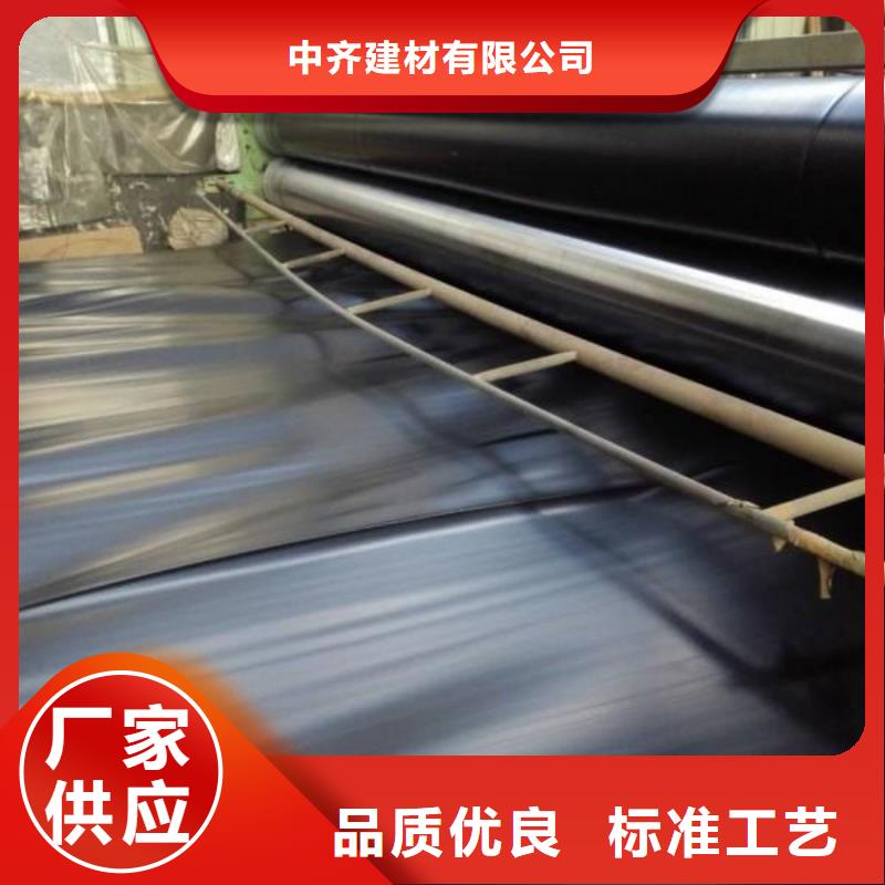 土工膜凸结点钢塑土工格栅好货直供