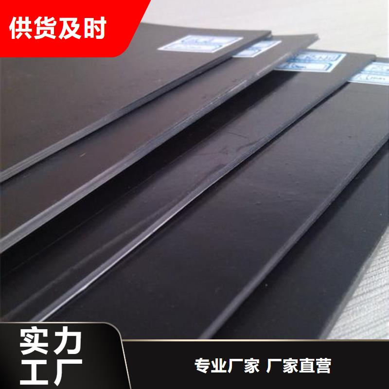 糙面土工膜土工膜生产厂家土工膜厂家