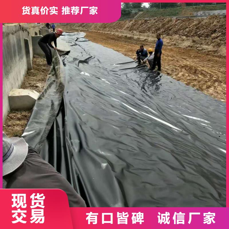 土工膜钢塑土工格栅适用范围广