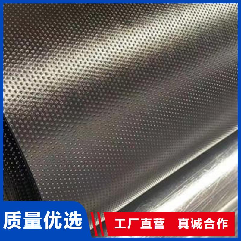 土工膜厂家直销厂家实业