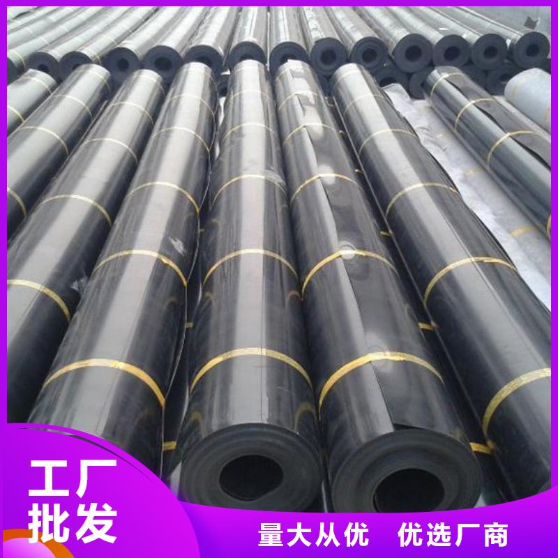 土工膜凸结点钢塑土工格栅好货直供