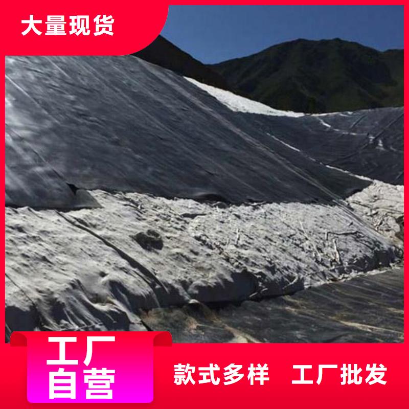 HDPE土工膜多少钱一平厂家实业