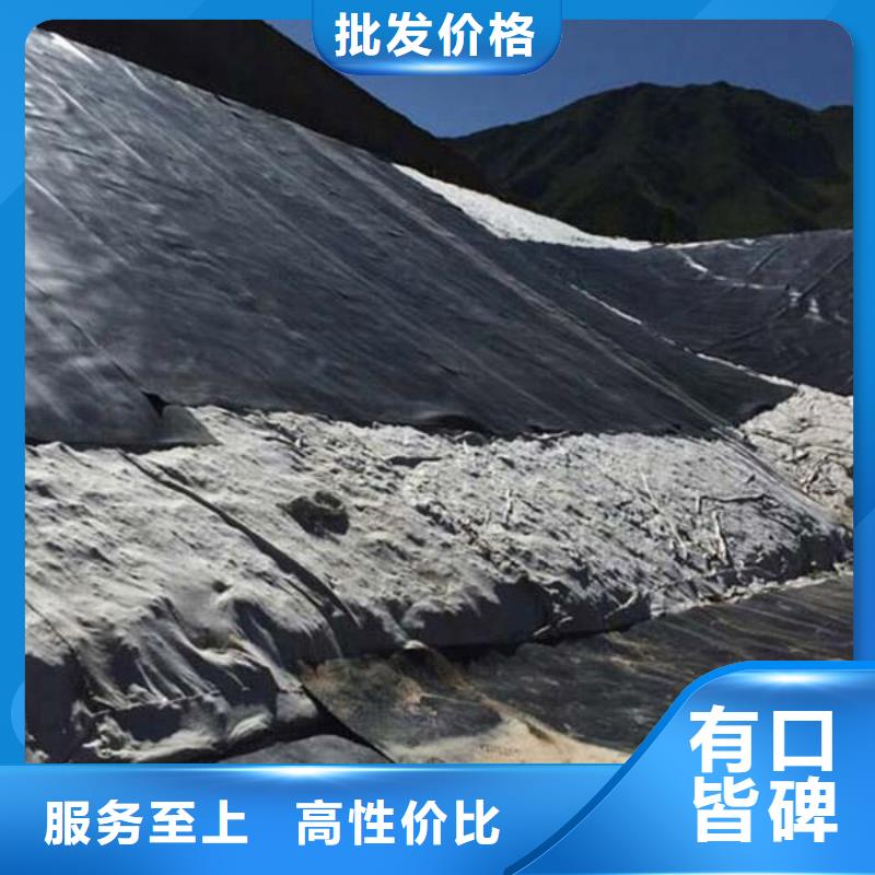 土工膜价格厂家实业