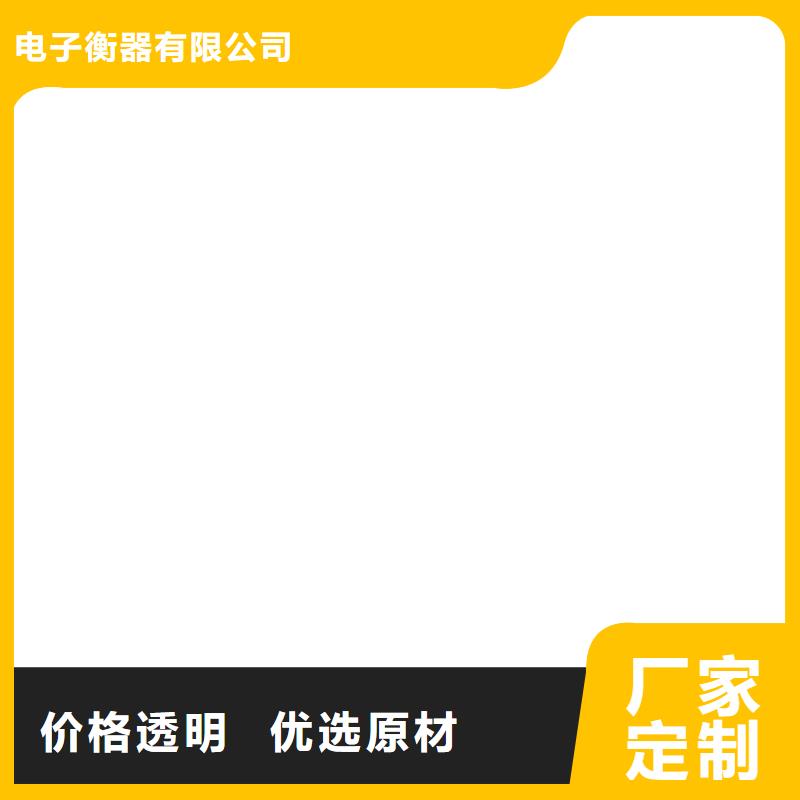 嵩县电子吊秤