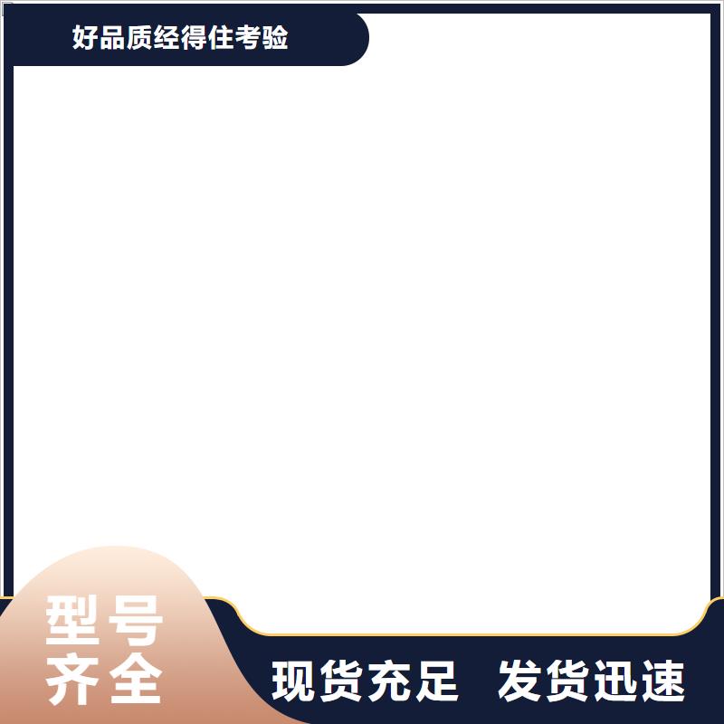 龙安100吨电子磅